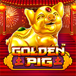 Golden Pig